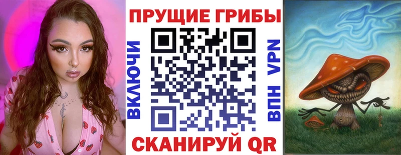 как найти наркотики Харабали Галлюциногенные грибы Psilocybe